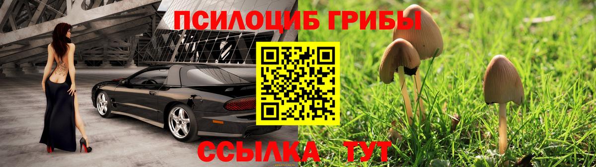 Галлюциногенные грибы Cubensis Дивногорск