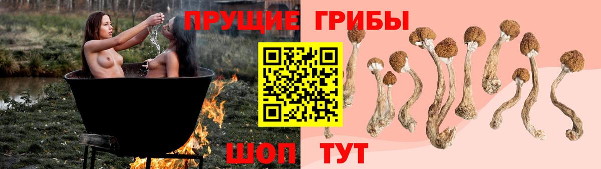 Псилоцибиновые грибы GOLDEN TEACHER  Вход с VPN  цена   Дивногорск 